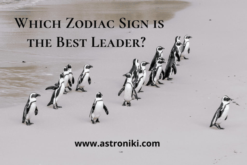 Which Zodiac Sign is the best leader? 